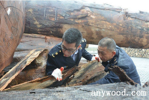 批木网 anywood.com
