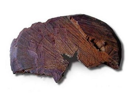 批木网 anywood.com