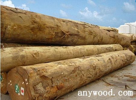 批木网 anywood.com