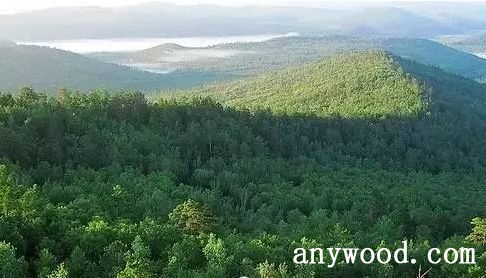 批木网 anywood.com