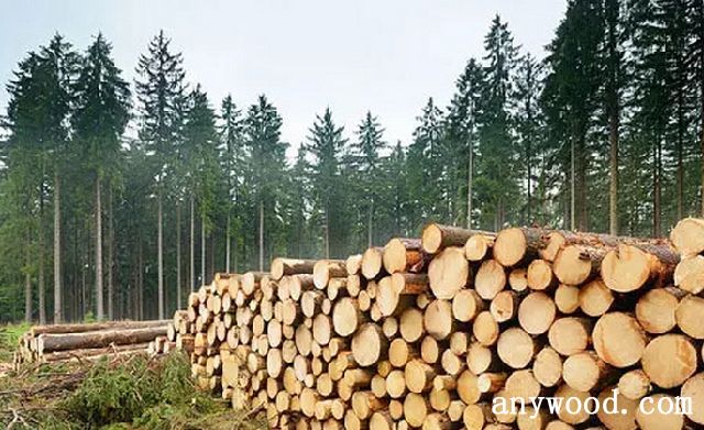 批木网 anywood.com