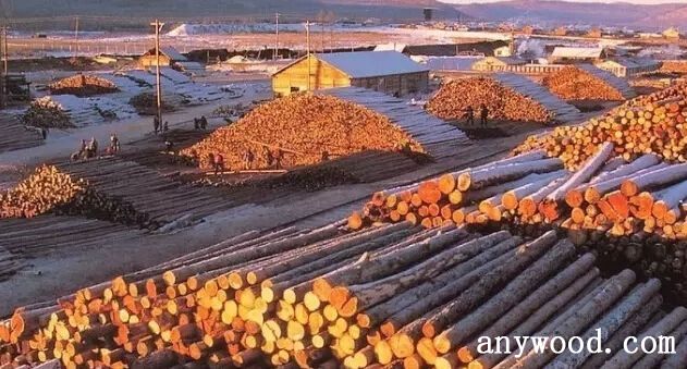 批木网 anywood.com