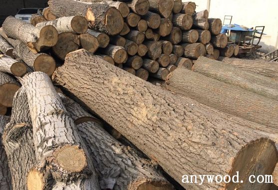 批木网 anywood.com