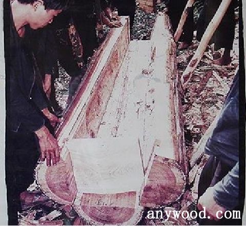 批木网 anywood.com