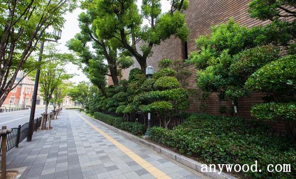 批木网 anywood.com