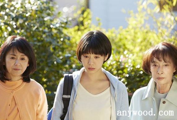 批木网 anywood.com
