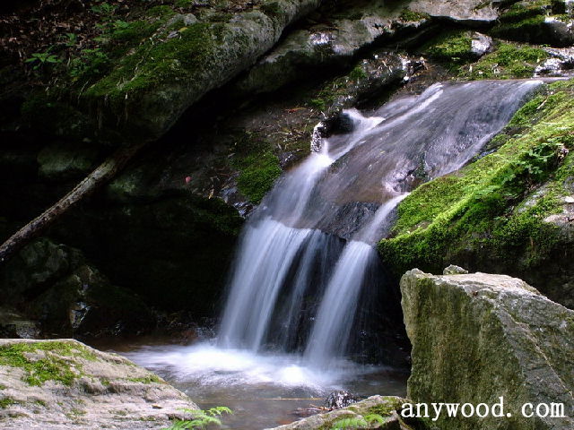 批木网 anywood.com