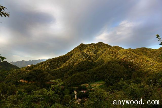批木网 anywood.com