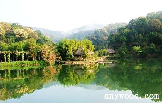 批木网 anywood.com