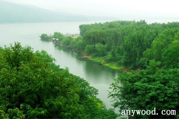 批木网 anywood.com