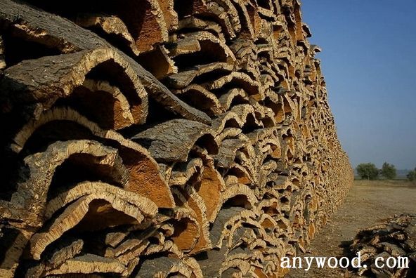 批木网 anywood.com