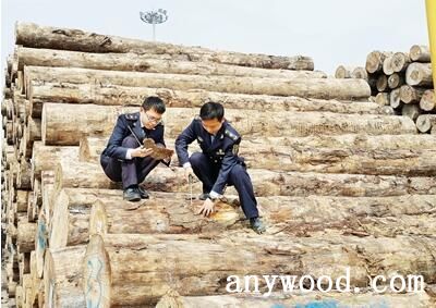 批木网 anywood.com