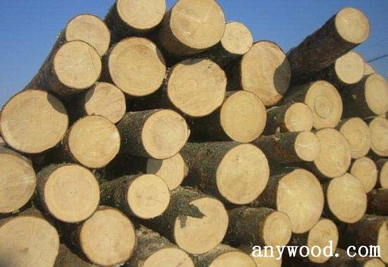批木网 anywood.com