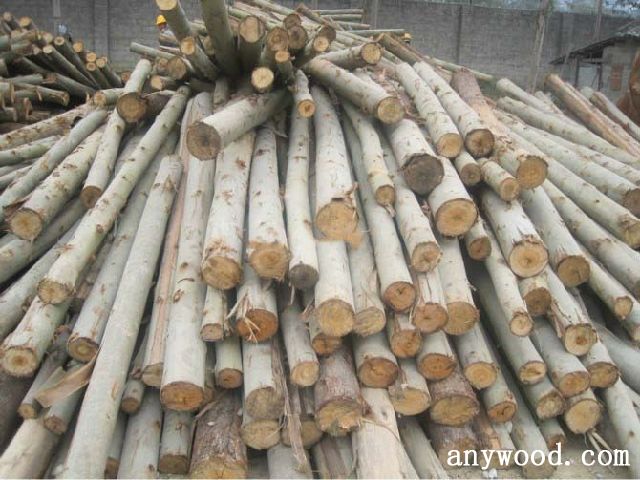 批木网 anywood.com