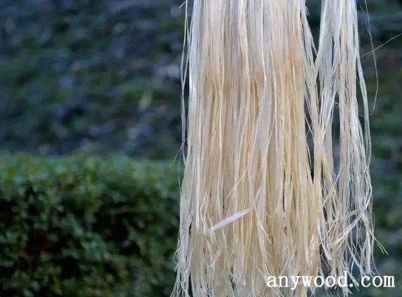 批木网 anywood.com