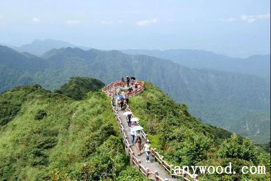 批木网 anywood.com
