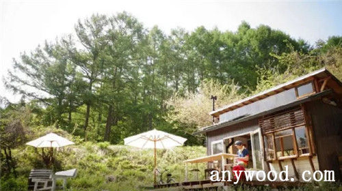 批木网 anywood.com