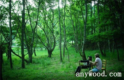 批木网 anywood.com
