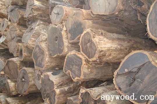 批木网 anywood.com