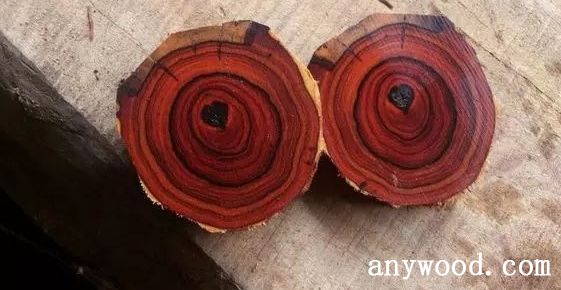 批木网 anywood.com