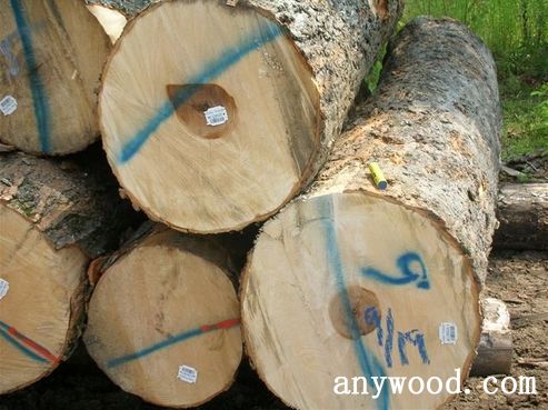 批木网 anywood.com
