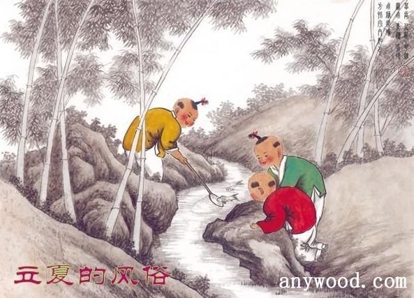 批木网 anywood.com