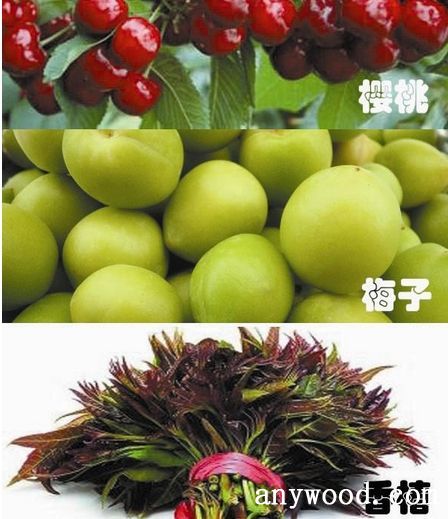 批木网 anywood.com