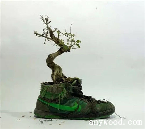 批木网 anywood.com
