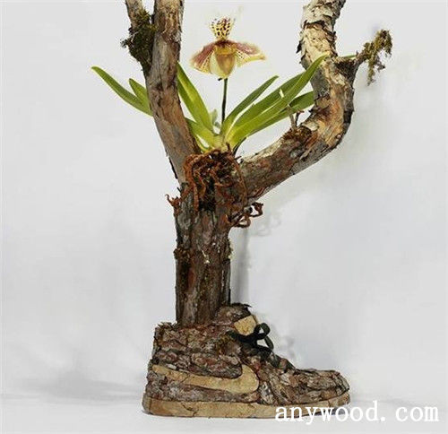批木网 anywood.com