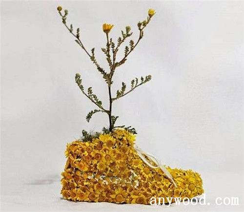 批木网 anywood.com