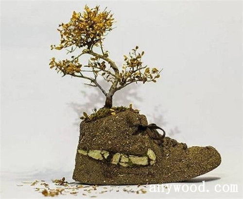 批木网 anywood.com