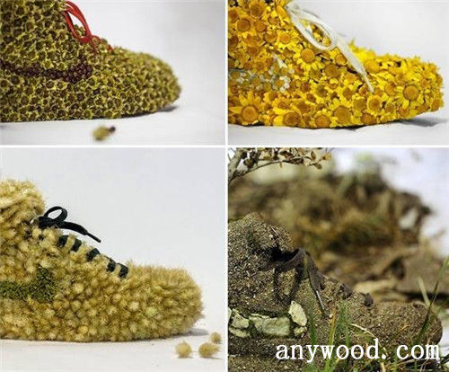 批木网 anywood.com