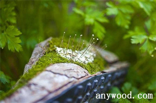 批木网 anywood.com
