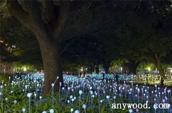 批木网 anywood.com