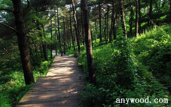 批木网 anywood.com