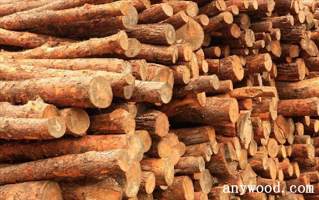 批木网 anywood.com