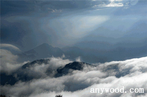 批木网 anywood.com