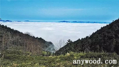 批木网 anywood.com