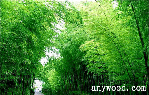 批木网 anywood.com