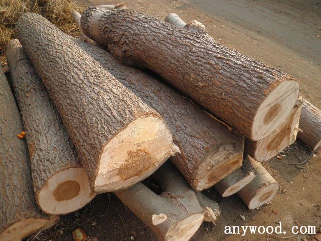 批木网 anywood.com