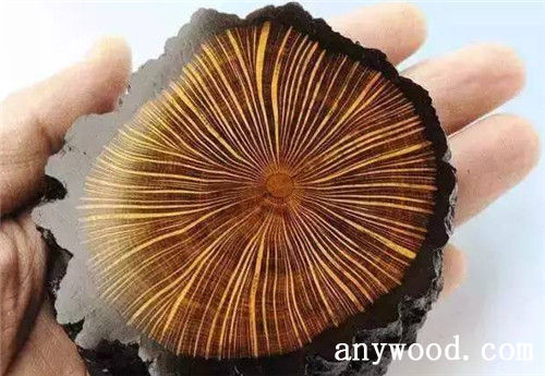 批木网 anywood.com