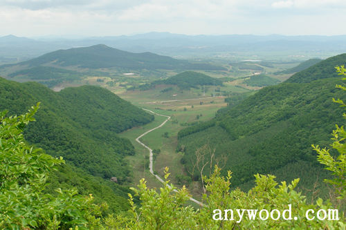 批木网 anywood.com