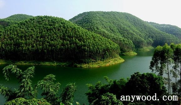 批木网 anywood.com