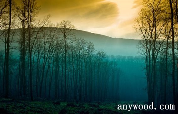 批木网 anywood.com