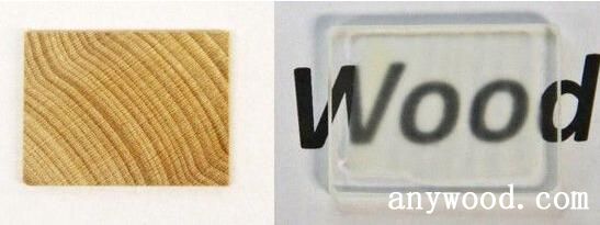 批木网 anywood.com