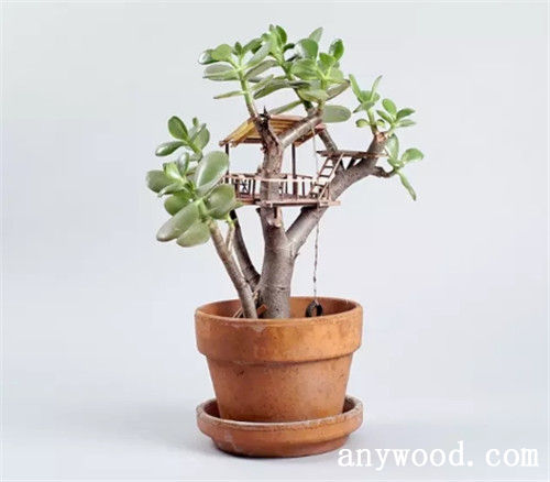 批木网 anywood.com