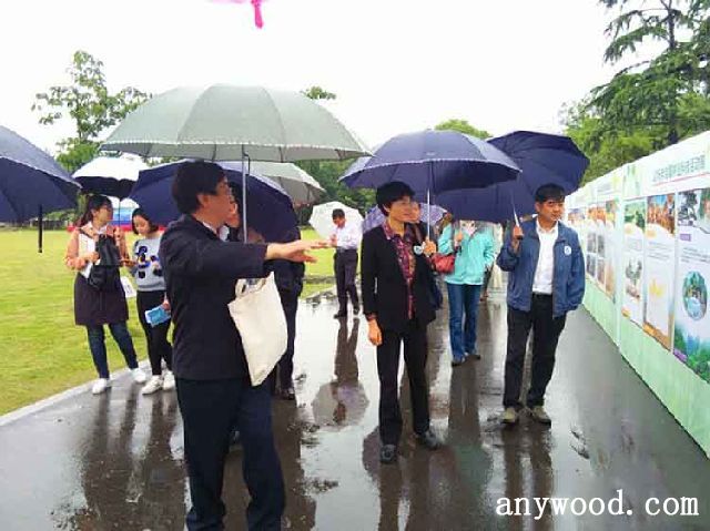 批木网 anywood.com