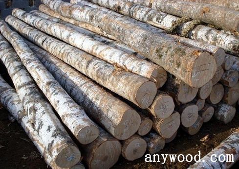 批木网 anywood.com