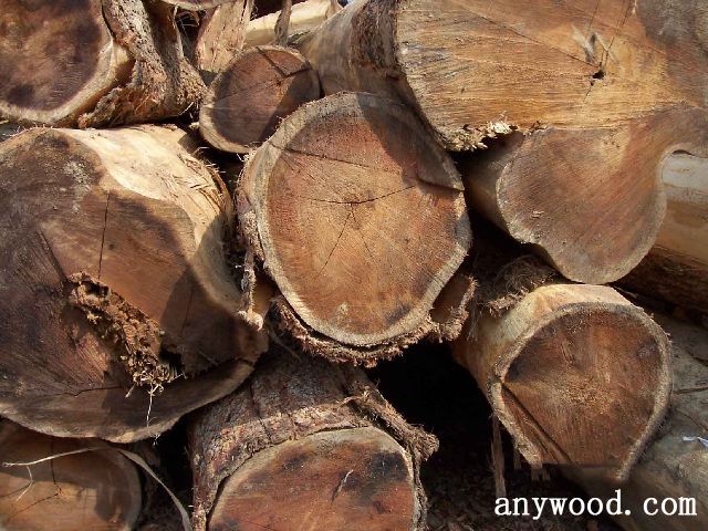 批木网 anywood.com