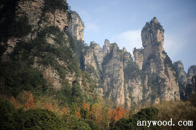 批木网 anywood.com
